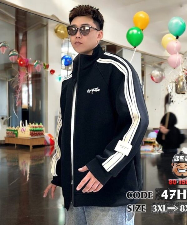 Áo khoác outdoor kiểu sọc tay or Fashion cổ cao 2