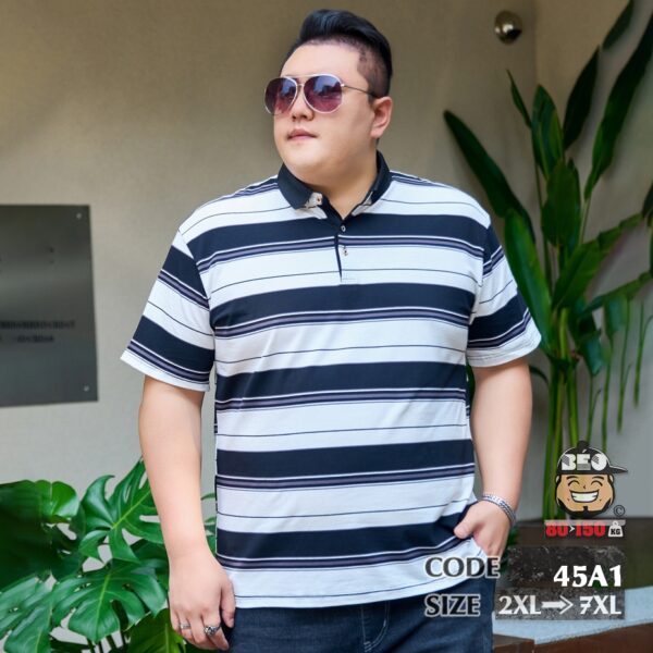 Áo thun tay ngắn Polo sọc trắng đen ngang áo 1