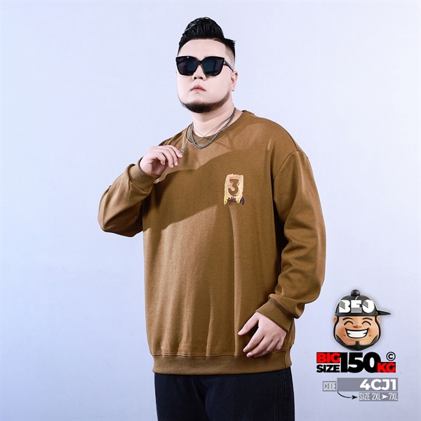 Áo thun sweater Baiilua họa tiết thêu 3 Áo thun sweater Baiilua họa tiết thêu - Ảnh 3