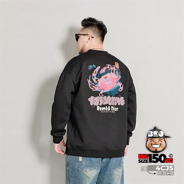 Áo thun sweater remid Dior big Crab cá tính 3 Áo thun sweater remid Dior big Crab cá tính - Ảnh 3