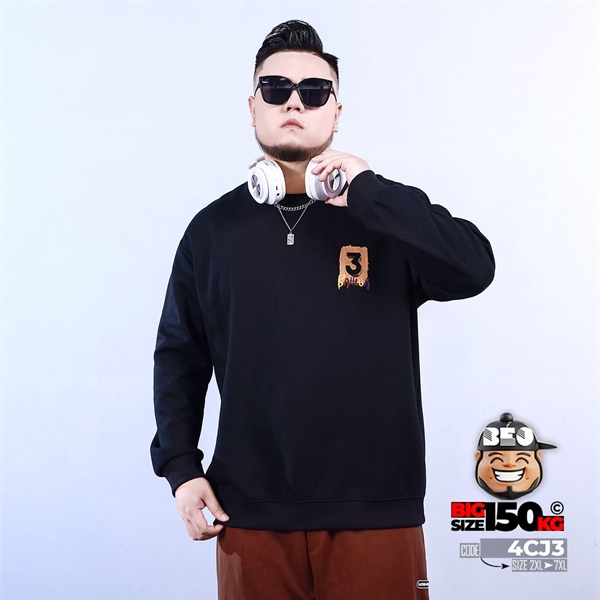 Áo thun sweater Baiilua họa tiết thêu 4 Áo thun sweater Baiilua họa tiết thêu - Ảnh 4