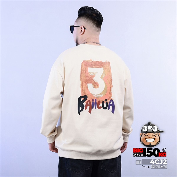 Áo thun sweater Baiilua họa tiết thêu