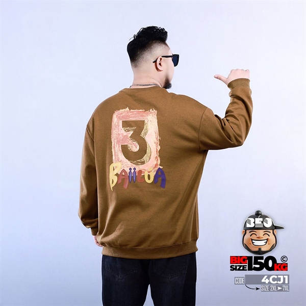 Alternative view of Áo thun sweater Baiilua họa tiết thêu