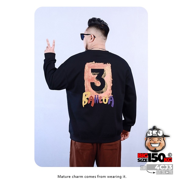 Áo thun sweater Baiilua họa tiết thêu 5 Áo thun sweater Baiilua họa tiết thêu - Ảnh 5