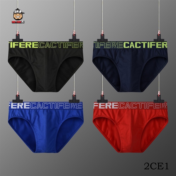 Quần sịp nam kiểu tam giác 2 Quần sịp nam kiểu tam giác - Ảnh 2