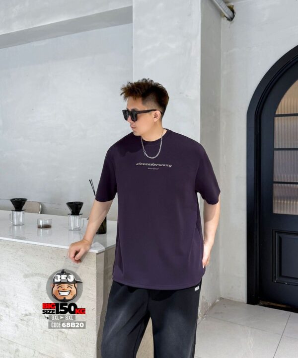 Áo thun tay ngắn form autumn logo alexander - Ảnh 5